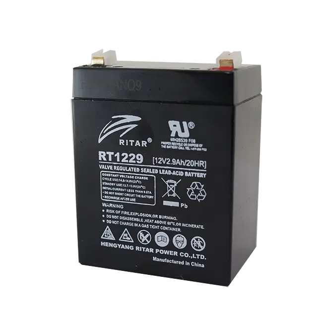 Reliable RT1229 Battery