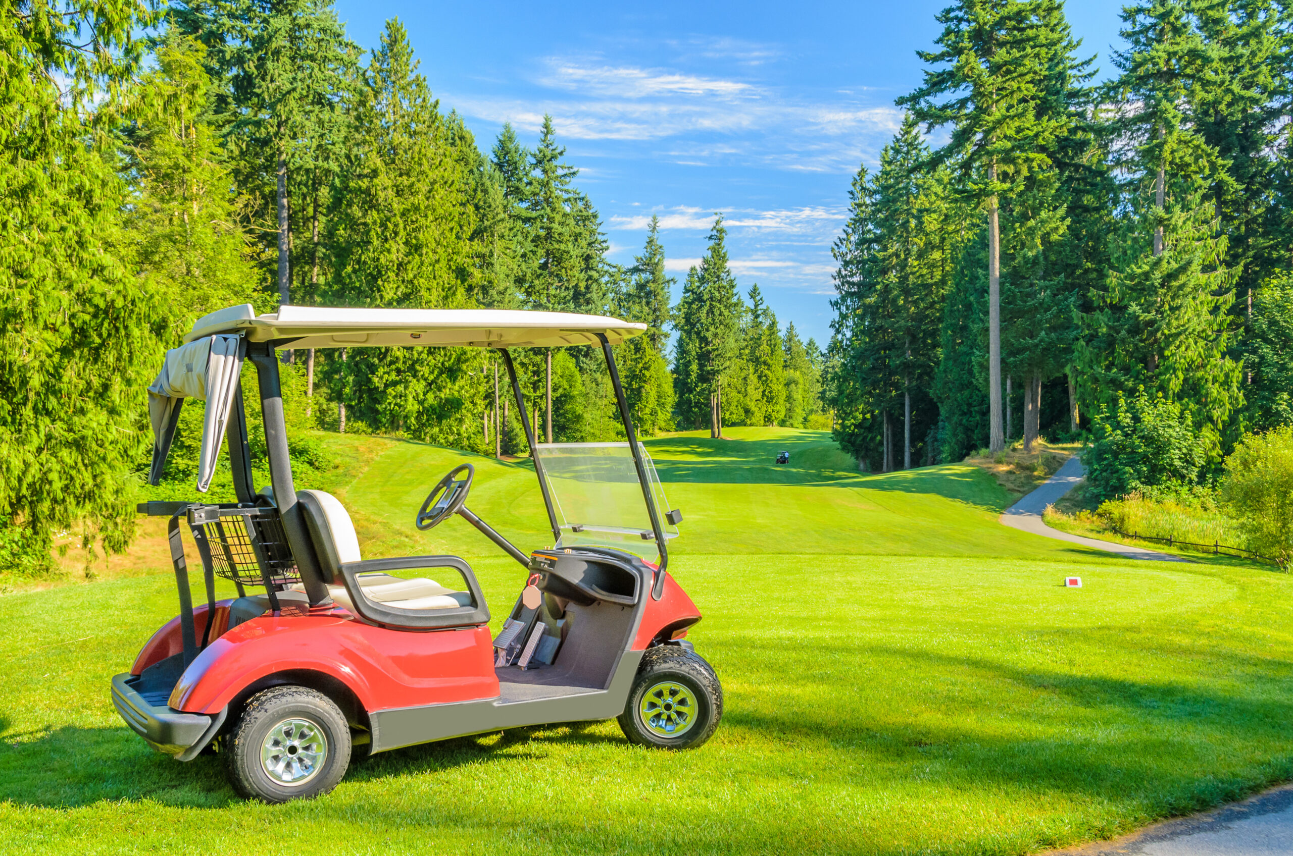 Golf Cart 2